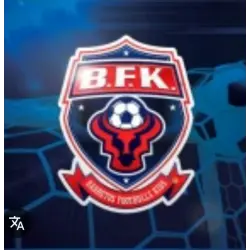 BARRETOS FOOTBULLS KIDS B