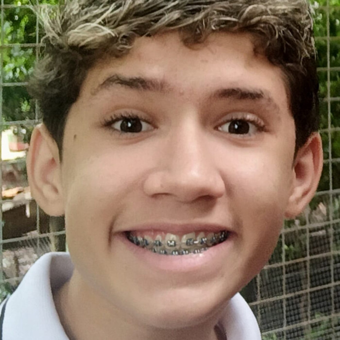 Alex Vinicius Francisco Toledo 