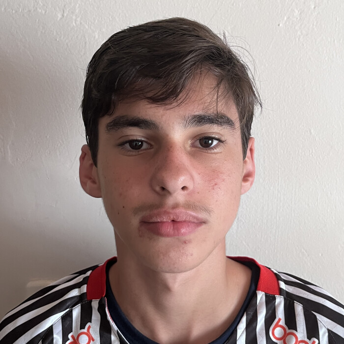 Antony Henrique Vingnotto Vidal 