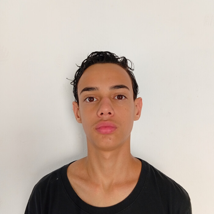 Carlos Henrique Borges Alves de Almeida 