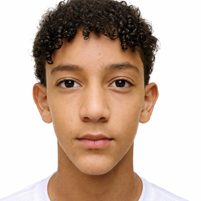 Pedro Henrique Barbosa Gonçalves 