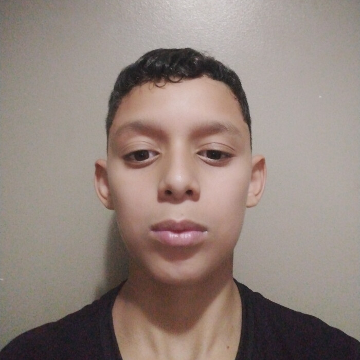Luiz Henrique Gomes da Silva
