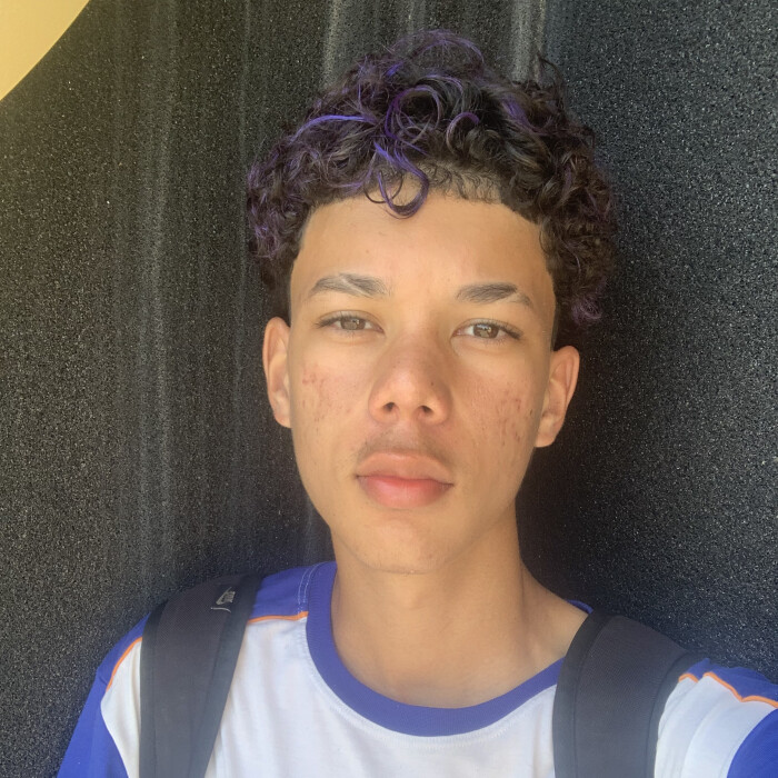 Pedro Hideki Silva Lopes