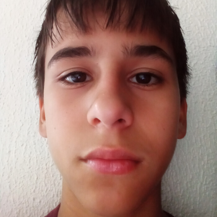 Enzzo de Araújo Santana Silva 