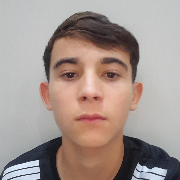 Enzo da silva gino