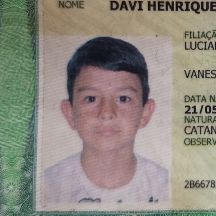 Davi Henrique da Silva Palhares 