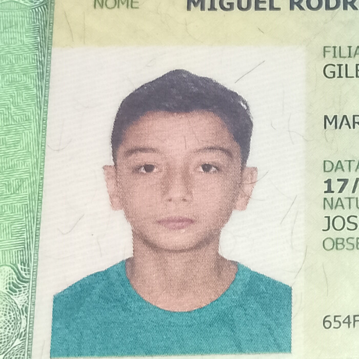 Miguel Rodrigues Alves 