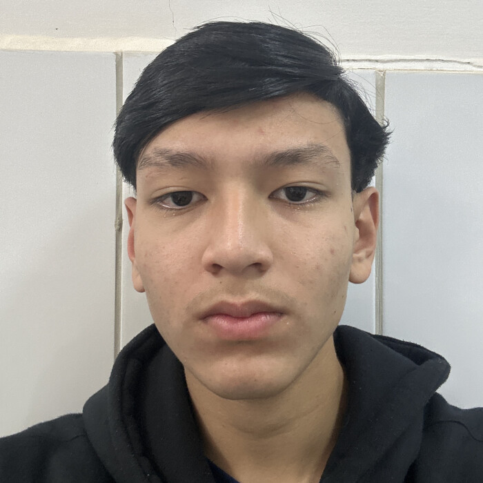 enzo lourenço tashiro