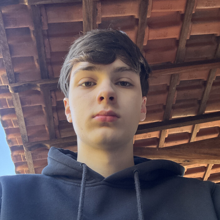 Lucas Lemos Vilela