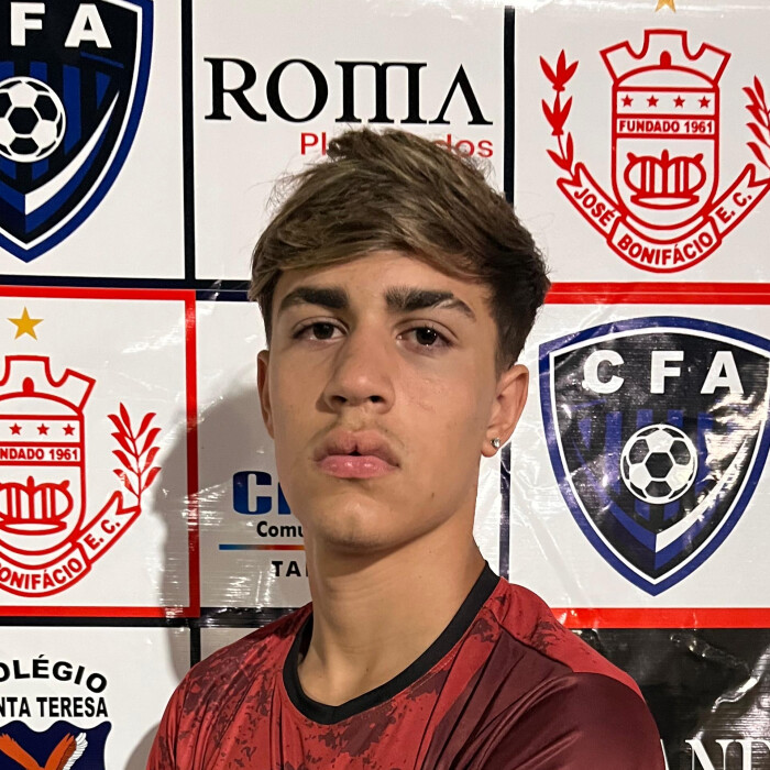 Matheus henrique vilalva negrini