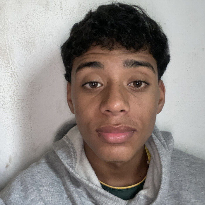 João Vithor Silva dos Santos 