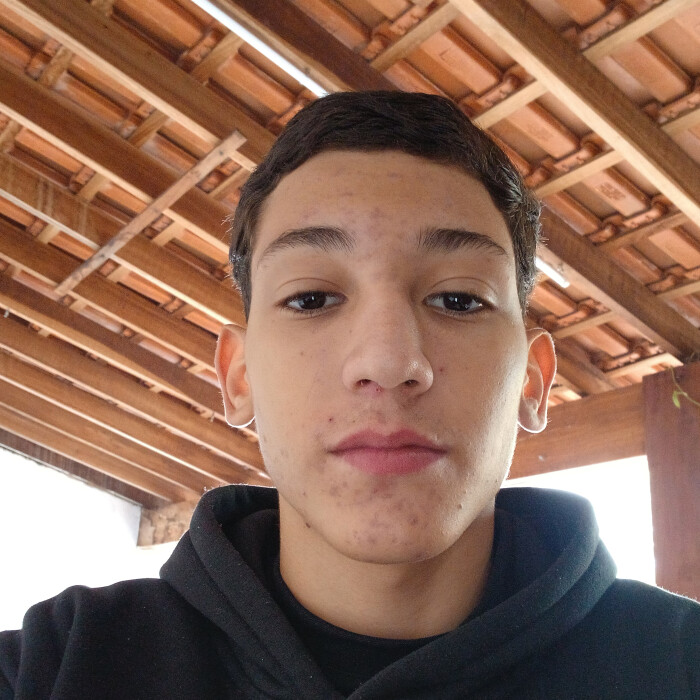 Lucas Henrique Gouvea Ferreira 