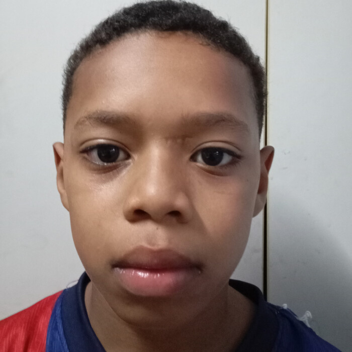 Henrico Nunes Guedes Silva