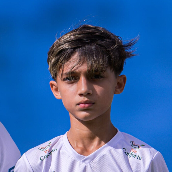 Alessandro Henrique Batistela Ragazzi 