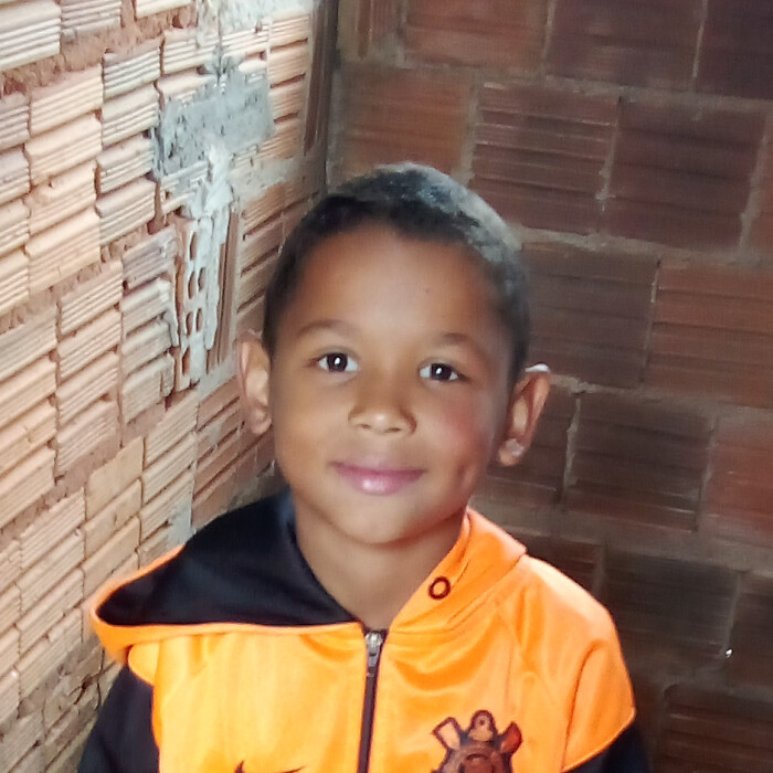 Davi Miguel da Silva Santos 
