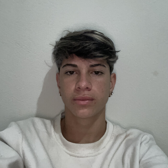 Pedro Henrique Romero Moreira 
