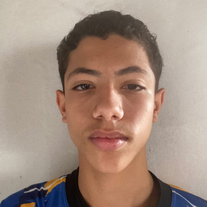 Matheus de Oliveira Saraiva Leão 