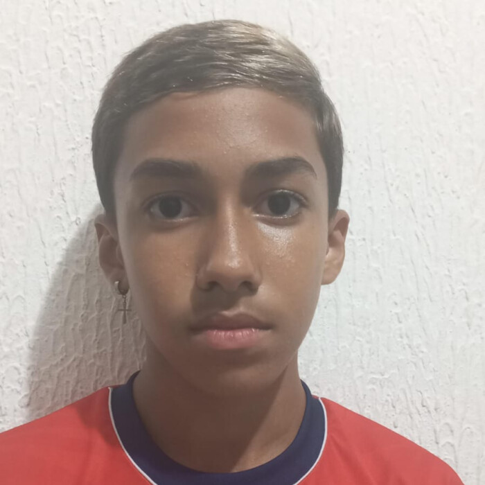 Luiz miguel machado ferreira 