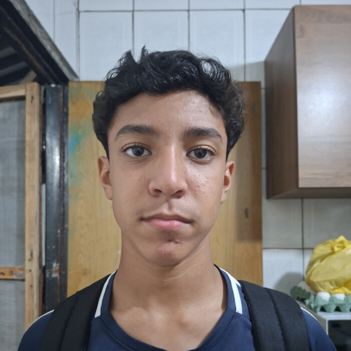 Lucas Vinicius dá Silva Souza 