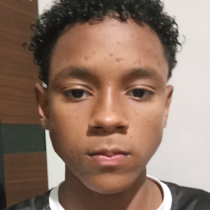 Henrique Rodrigues de Freitas 