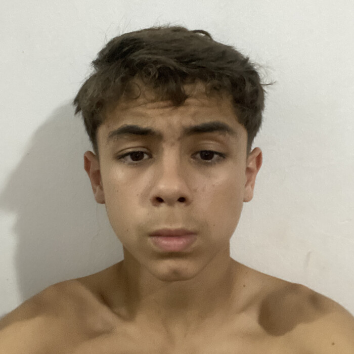 Arthur Henrique amais de Barros 