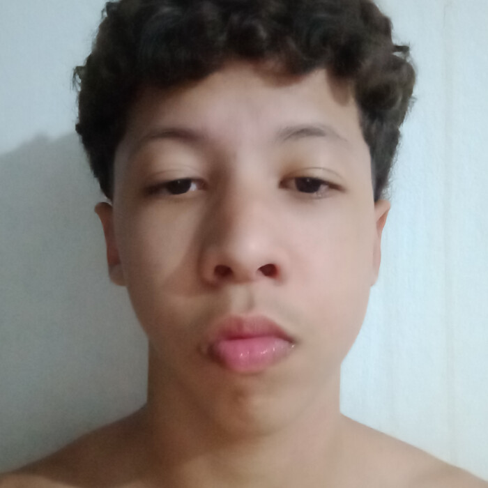 André Lucas Alves Santos 