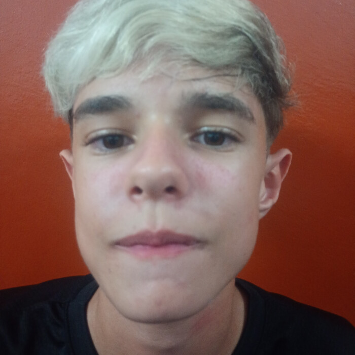 Enzo Henrique Araújo 
