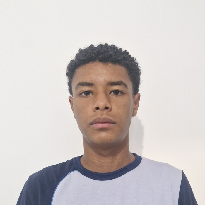  Arthur Henrique de Oliveira 