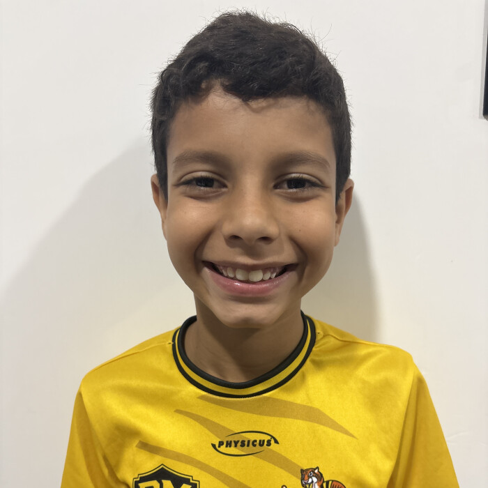 Pedro Henrique vilas boas