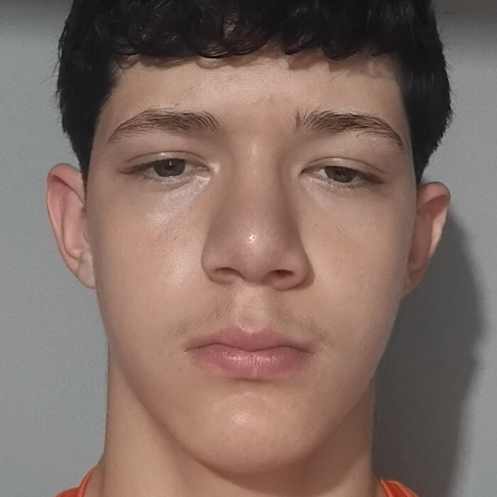 Gabriel de Carvalho Pirovani Frota 