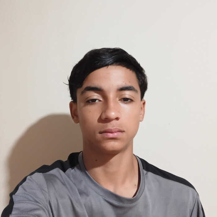 Mateus Gabriel moura Francisco 