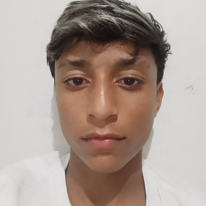 Ricardo Eduardo de Paula santos Lopes 