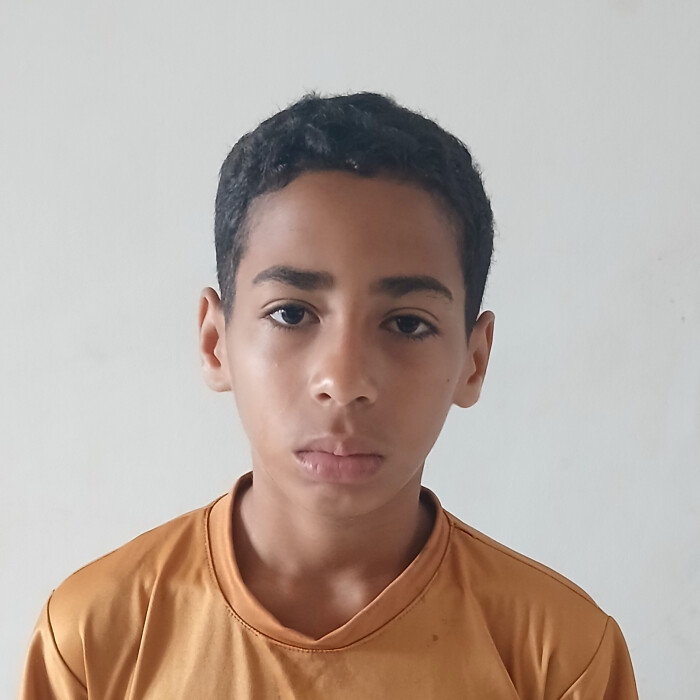 Bryan Henrique Pedro dos Santos 