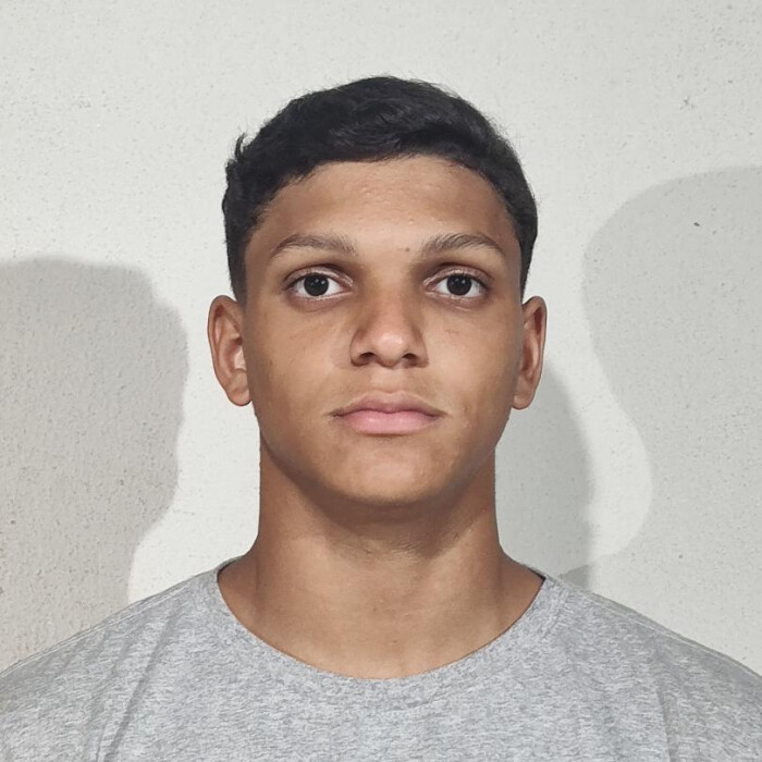 Alvoro Alves Ferreira neto